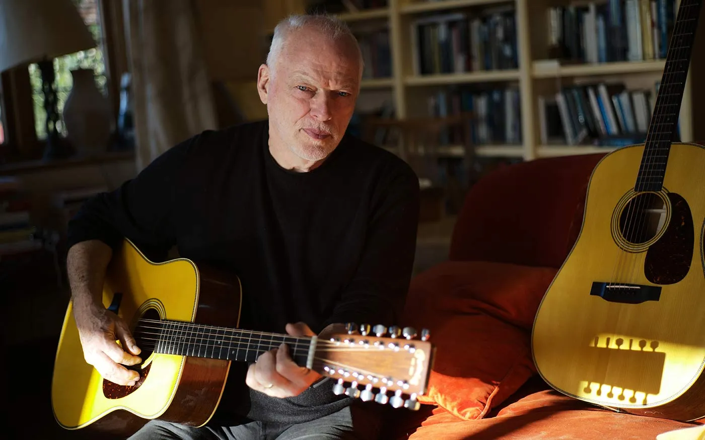 David Gilmour Martin D35