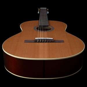 la patrie guitars