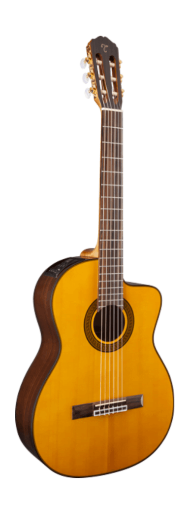 Takamine GC5