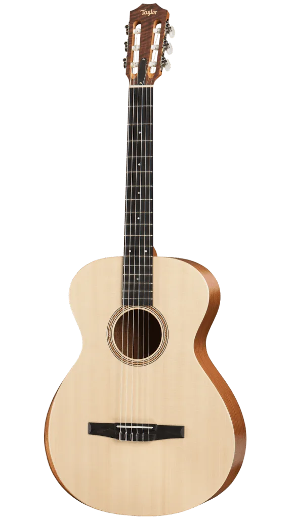 Taylor Academy 12e N