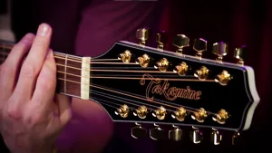 Pearl White Takamine GD35CE 12-String