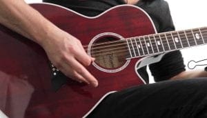 Takamine TSP158C12