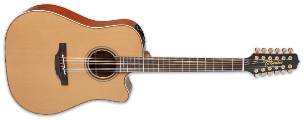 Takamine P3DC 12