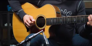 Fingerpicking