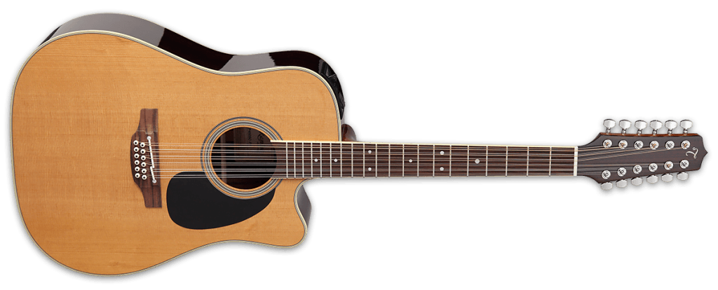 Takamine EF400SC TT 12 string