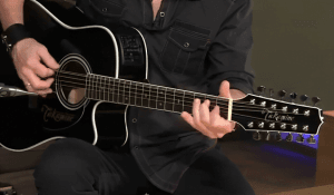 takamine 12 string