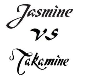 Jasmine Guitar Prices