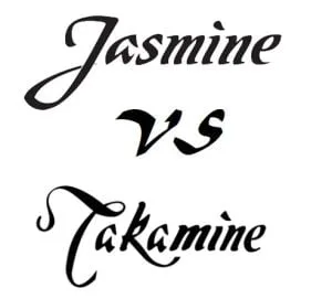 Jasmine Guitar Prices