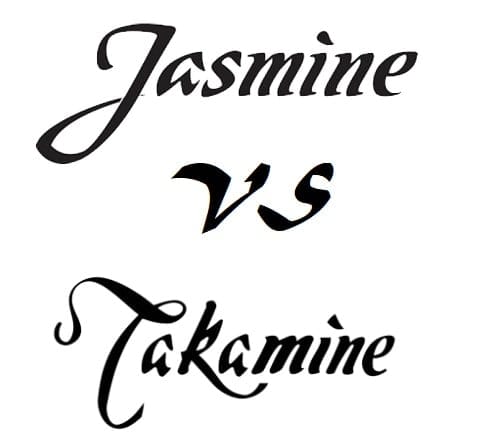 Jasmine Guitar Prices