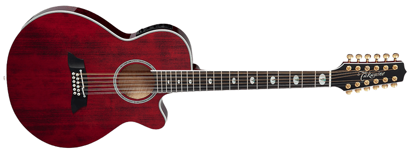 Takamine TSP 12 string