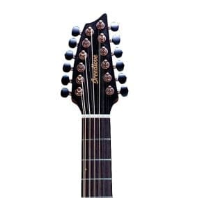 breedlove pursuit exotic concert ce