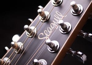 Seagull Coastline S12 string