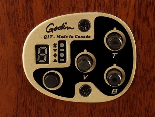 Seagull Coastline godin preamp