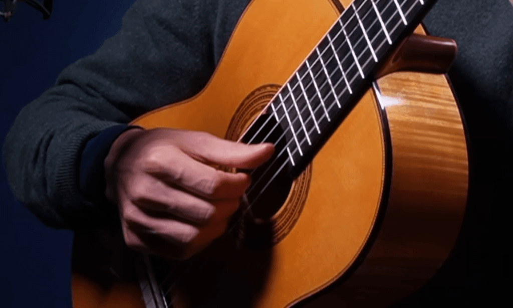 Vibrato Techniques A Comprehensive Guide BetterMuSeek