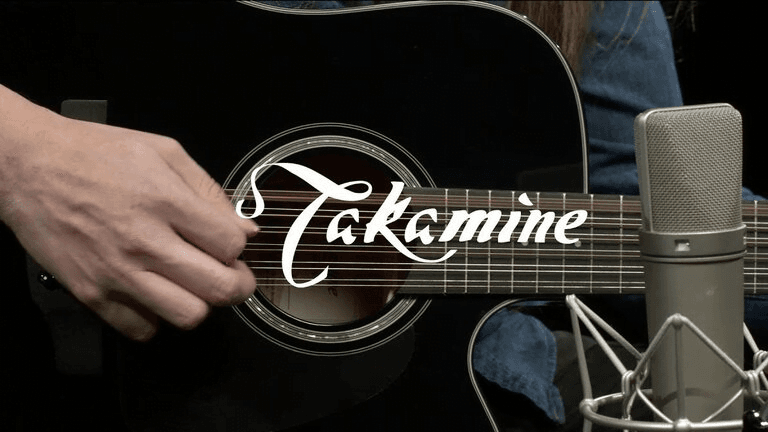 Takamine 12 String