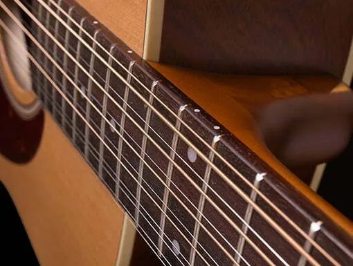 Bridge Seagull Coastline 12-string