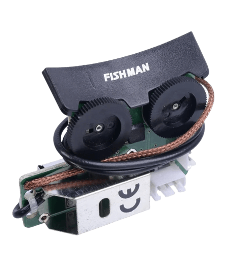 Fishman Martin D12X1AE