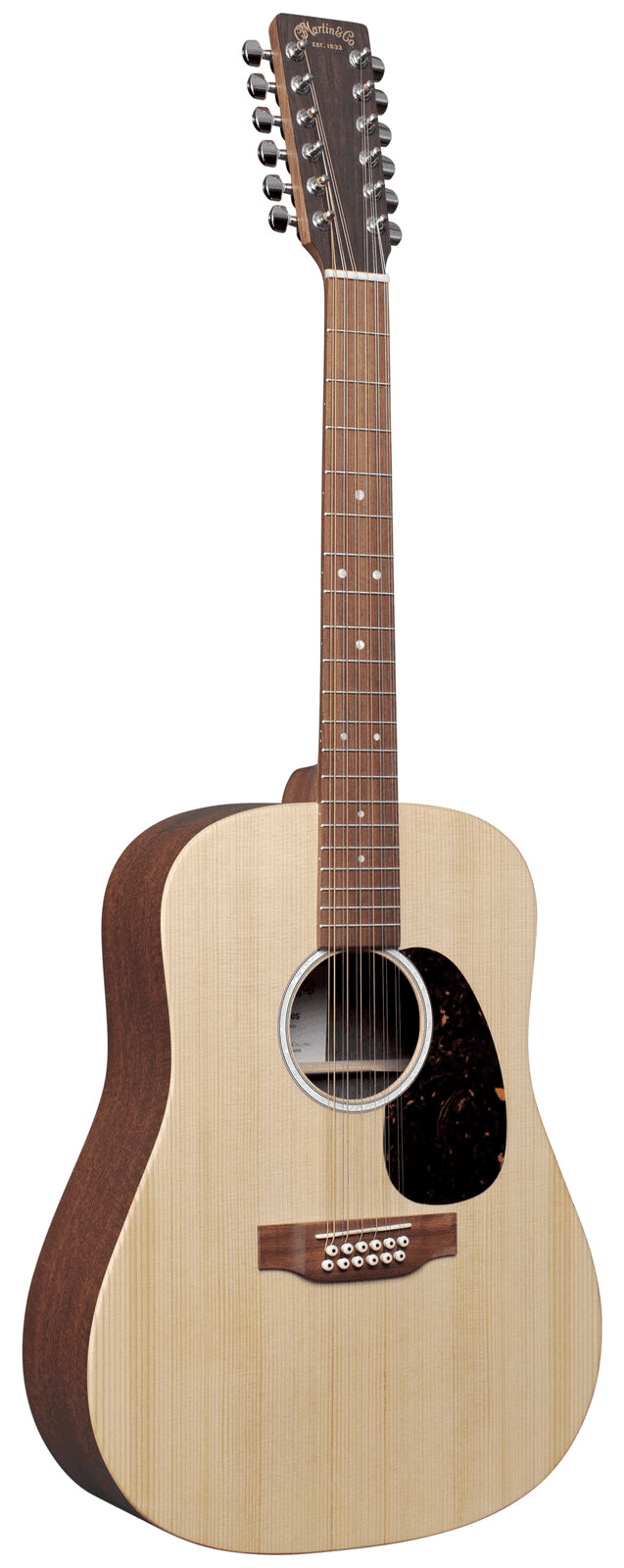 Martin D12X1AE 12 string dreadnought