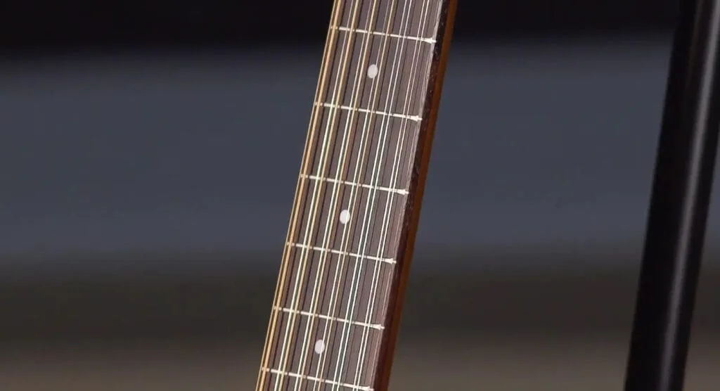 Fretboard Seagull Coastline 12-string