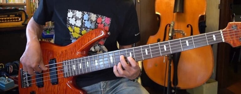 5 string bass guitars