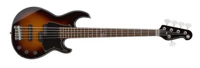 Best 5 String Bass Guitars For Every Price Point - BetterMuSeek