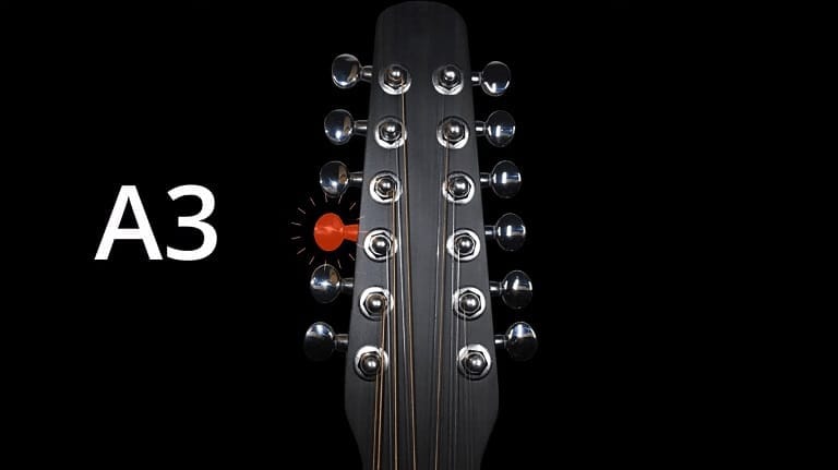 12 string guitar tuner